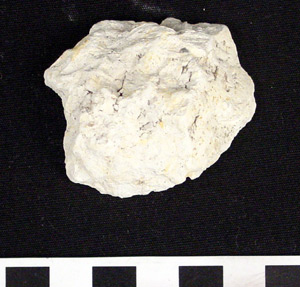 Thumbnail of Complete Potter