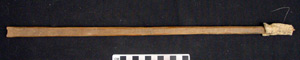 Thumbnail of Louse Catcher (1998.19.2828B)