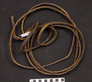 Thumbnail of Harness and reins (1998.19.2861E)