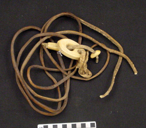 Thumbnail of Harness and reins (1998.19.2861F)