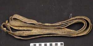 Thumbnail of Dog Harness  (1998.19.2861P)