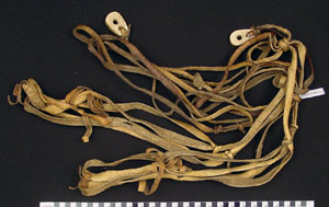 Thumbnail of Dog Harness (1998.19.2876)
