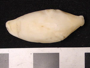Thumbnail of Figurine: Seal (1998.19.2899)