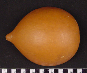 Thumbnail of Gourd dipper (1998.19.2929)
