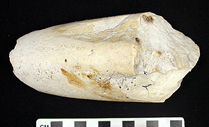Thumbnail of Tela, Adze (2000.01.0315A)