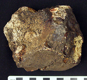 Thumbnail of Raw Material: Bee