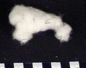 Thumbnail of Cotton Yarn (2000.01.0451G)