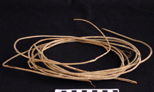 Thumbnail of Vine Binding for Fish Trap (2000.01.0501)