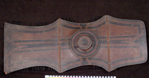 Thumbnail of Shield (2004.11.0054)