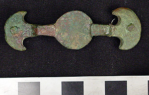 Thumbnail of Fibula, Fragment? (1924.02.0051B)