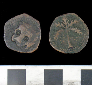 Thumbnail of Coin: Copper Trifollaro (1971.15.3355)
