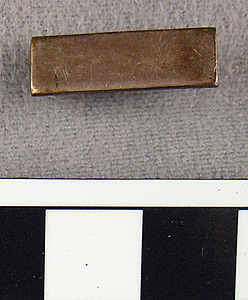 Thumbnail of WAVES Uniform  Lt. Bar Insignia (1998.06.0184)