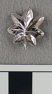 Thumbnail of WAVES Uniform Oak Leaf Pin Insignia (1998.06.0193)