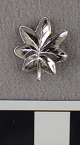 Thumbnail of WAVES Uniform Oak Leaf Pin Insignia (1998.06.0194)