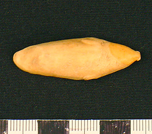 Thumbnail of Figurine: Seal (1998.19.3223)