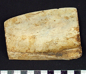 Thumbnail of Skin Scraper (1998.19.3228)