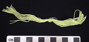 Thumbnail of Bundle of Thread (2004.15.0034X)