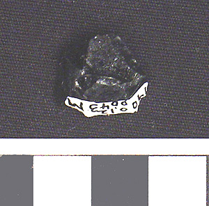 Thumbnail of Stone Tool: Worked Stone Fragment (1900.12.0043M)