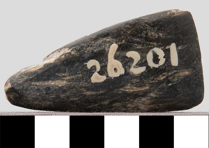 Thumbnail of Stone Tool: Celt (1900.20.0007)