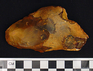 Thumbnail of Stone Tool: Scraper (1900.20.0013)