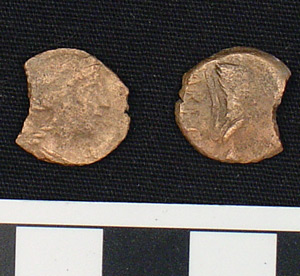 Thumbnail of Coin (1900.63.0372)