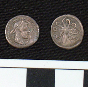 Thumbnail of Coin: Litra, Syracuse (1900.63.0384)
