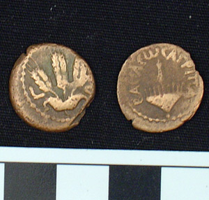 Thumbnail of Coin: Prutah of Herod Agrippa 1 (1900.63.0408)