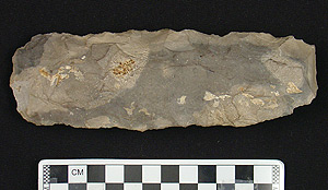 Thumbnail of Stone Tool: Hand Ax (1915.07.0011)