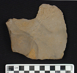 Thumbnail of Stone Tool: Utilized Tool (1915.07.0016)