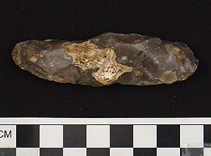 Thumbnail of Stone Tool: Worked Implement (1915.07.0019)