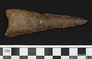 Thumbnail of Stone Tool: Projectile Point (1915.07.0025)