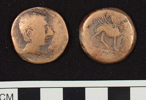 Thumbnail of Coin: Bactria (1917.63.0419)