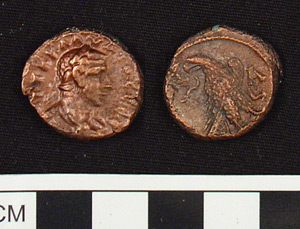 Thumbnail of Coin: AE 21, Alexandria (1917.63.0518)