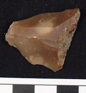 Thumbnail of Stone Tool: Modified Flake  (1956.02.0630)