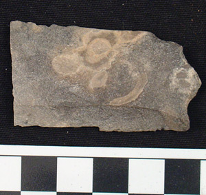Thumbnail of Stone Tool: Blade Fragment (1956.02.0631)