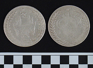 Thumbnail of Coin: Afghanistan under Amir Habibullah Khan, Crown (1971.15.1778)