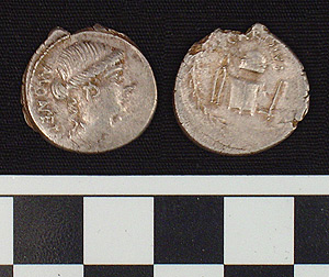 Thumbnail of Coin: Roman Republic, Denarius (1981.04.0011)