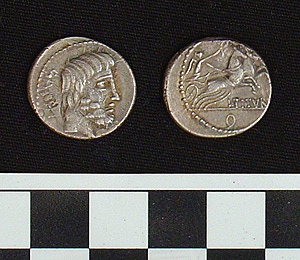 Thumbnail of Coin: Roman Republic, Denarius (1981.04.0014)