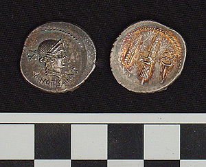 Thumbnail of Coin: Roman Republic, Denarius (1981.04.0016)