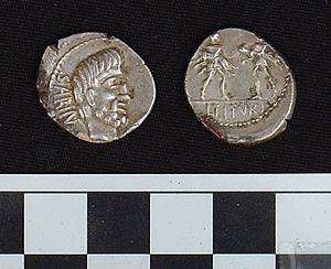 Thumbnail of Coin: Roman Republic, Denarius (1981.04.0017)