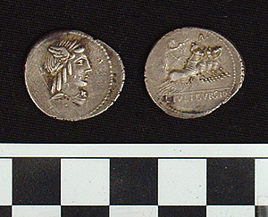 Thumbnail of Coin: Roman Republic, Denarius (1981.04.0018)