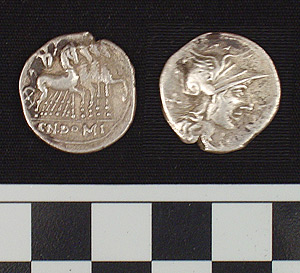 Thumbnail of Coin: Roman Republic, Denarius (1981.04.0019)