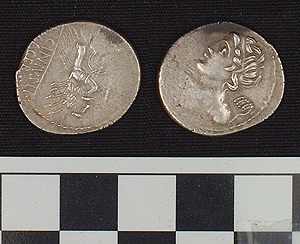 Thumbnail of Coin: Roman Republic, Denarius (1981.04.0020)