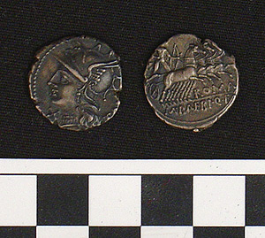 Thumbnail of Coin: Roman Republic, Denarius (1981.04.0021)