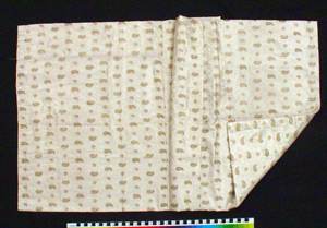 Thumbnail of Pillowcase (1995.24.0029A)