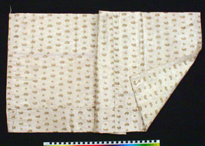 Thumbnail of Pillowcase (1995.24.0029B)