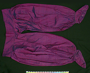 Thumbnail of Pants ()
