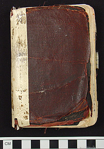 Thumbnail of Reginald Laubin