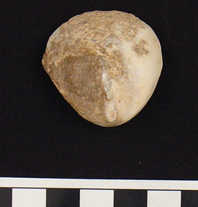 Thumbnail of Figurine Fragment: Head (1998.18.0113)
