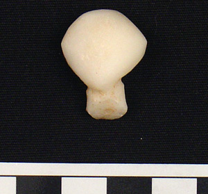 Thumbnail of Figurine Fragment: Head (1998.18.0147)